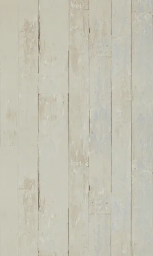 More Than Elements Mature Wood Wallpaper 49790