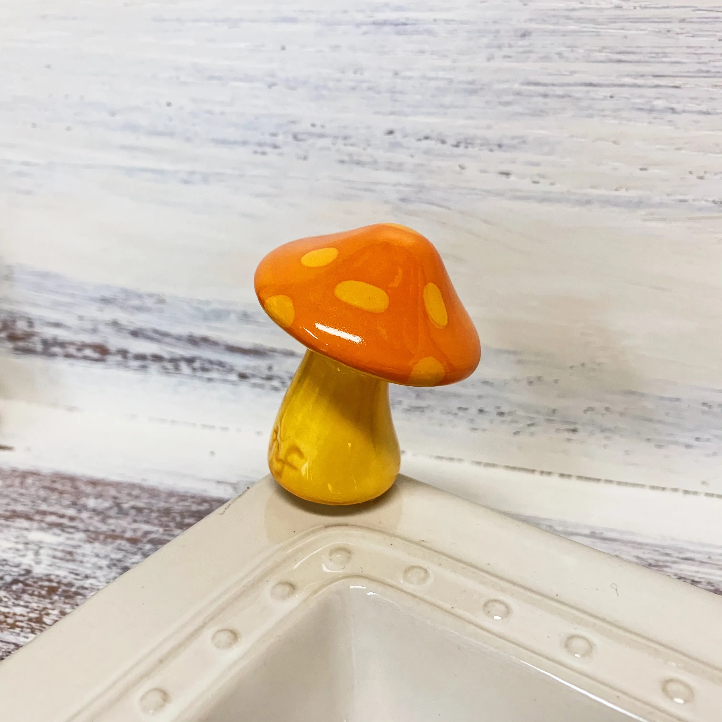 Nora Fleming Minis ~ Multiple Styles